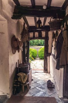 an open doorway leading to a garden with lots of plants