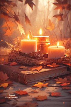 two lit candles sitting on top of an open book in the middle of autumn leaves