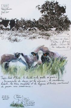 two cows laying down in the grass next to a drawing with writing on it and some trees