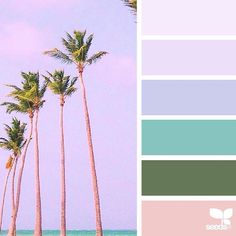 there are palm trees on the beach with pastel colors in the bottom right hand corner