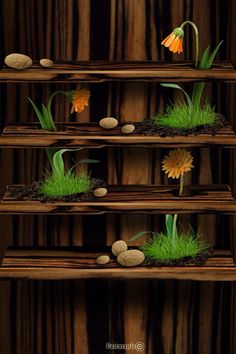 the shelf is made out of wood and has grass growing from it, rocks and flowers