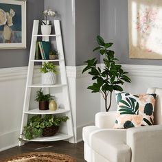 a living room filled with furniture and a potted plant on top of a shelf