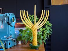 a large yellow candle sitting on top of a wooden table next to a green plant