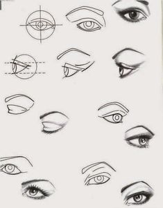 various types of eyes and how to draw them