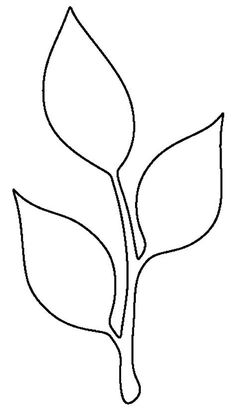 the outline of a leaf on a white background