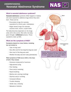 the diagram shows what is in the stomach and how does it help with breathing?