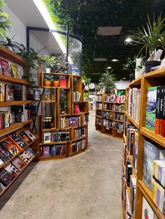 a long row of bookshelves filled with lots of different types of books and plants