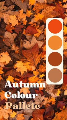 an autumn color palette with the words autumn colours in front of it and leaves on the ground