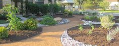 a garden with rocks and plants in the front yard, next to a house on a sunny day