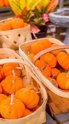 several baskets filled with small orange pumpkins