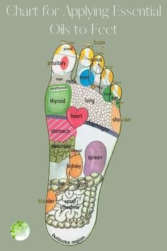 How To Feel Full, Natural Body Detox, Reflexology Foot Chart, Reflexology Chart, Foot Reflexology, Healing Touch, Acupressure Points