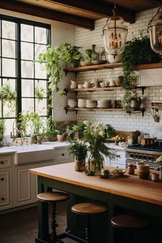 a kitchen filled with lots of potted plants and greenery on the shelves above the sink