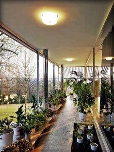 the inside of a building with many potted plants on the outside and large windows