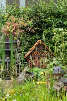 a garden filled with lots of different types of plants and animals in the grass next to a building