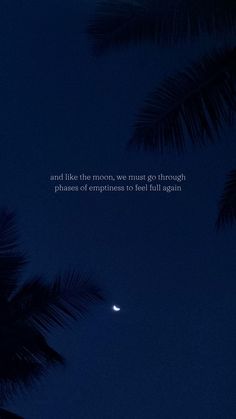 palm trees and the moon are lit up in the night sky with a quote written on it