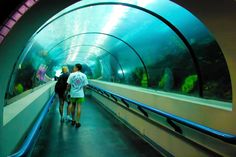 two people are walking through an underwater tunnel