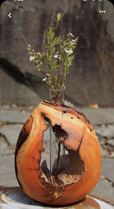 a plant is growing out of an orange piece of wood that has been turned into a vase