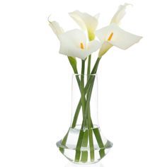 three white flowers in a clear vase on a white background with water droplets around them