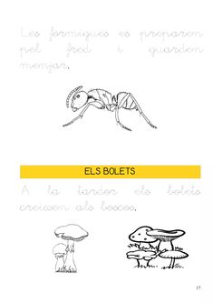 an insect is shown with the words el's bollets written below it