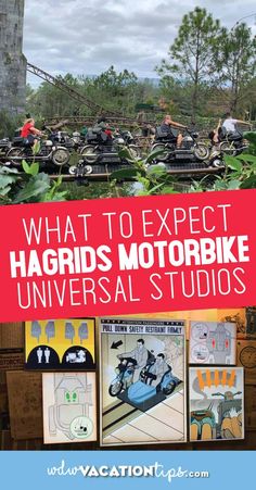 what to expect at the harrids motorbike universal studio in walt world