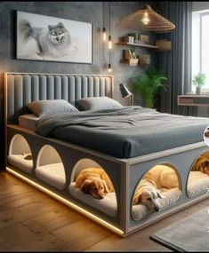 a bed with two dogs sleeping in the bottom beds and one cat laying on top