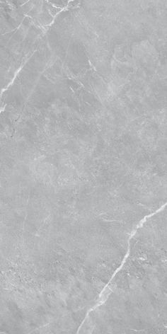 a black and white photo of a marble floor with grey veining on the edges