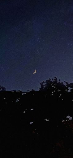 crescent moon and stars Midnight Stars Aesthetic, Midnight Astetic, Night Sky With Stars And Moon, Night Sky Aesthetic Stars And Moon, Moon And Stars Aesthetic Dark, Meghan Core Aesthetic, Midnight Asethic, Midnight Aesthetic Sky