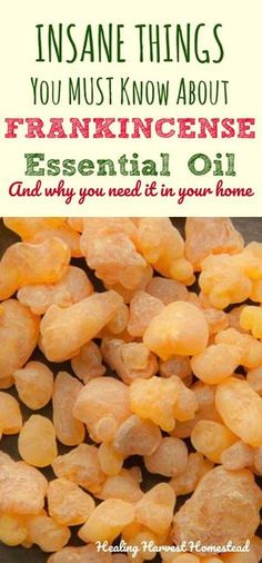 Why would anyone want to use frankincense essential oil? Find out the incredible benefits and uses of frankincense essential oil, PLUS how to use it. Why do you need Frankincense essential oil in your home? Find out all the things to know about Frankincense essential oil! Frankincense Essential Oil Benefits, Amazing Easy Recipes, Oil Remedies, Essential Oil Benefits, Frankincense Essential Oil, Healing Oils