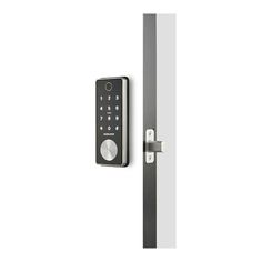 an electronic door handle with a remote control