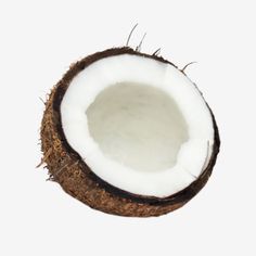 an open coconut on a white background