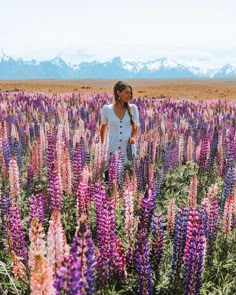 a woman standing in the middle of a field full of purple flowers with mountains in the background