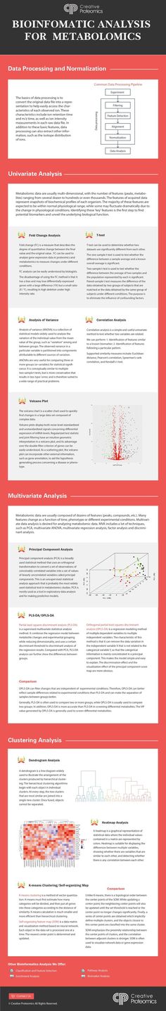 an info sheet with different types of information on it