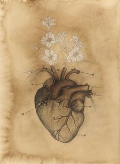 a drawing of a heart with flowers on it