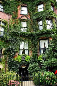 an old building with ivy growing on it's side and windows in the front