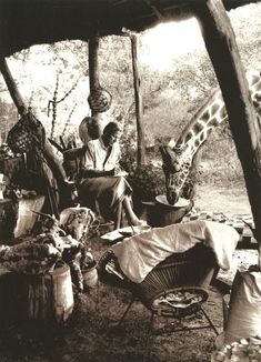 a giraffe standing next to a person sitting on a chair under a tent