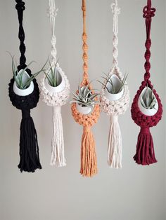 four hanging planters with air plants and tassels attached to the sides, all decorated in different colors