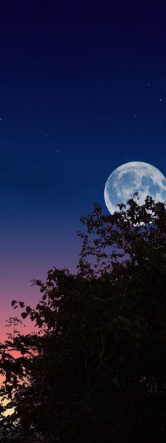 the full moon is setting behind some trees