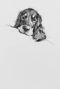 a black and white drawing of a dog's head with its nose sticking out