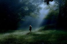 a woman standing in the middle of a forest with sunlight streaming through her hair and trees