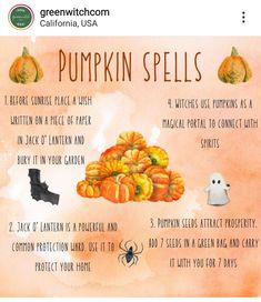 Pumpkin Seeds Magical Properties, Pumpkin Magical Properties, Prosperity Magick, Samhain Blessings, Mountain Witch, Samhain Traditions, Spiritual Holidays, Pumpkin Magic