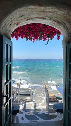 an open door leading to the ocean with red flowers hanging from it's sides