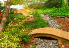 a wooden bench sitting in the middle of a forest filled with trees and flowers next to a small stream