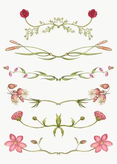 some flowers and leaves are arranged in different designs on a white background, including one pink flower