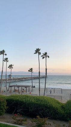 palm trees line the beach and boardwalk at sunset