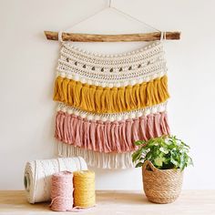 the wall hanging is decorated with colorful yarns and twine, along with a potted plant