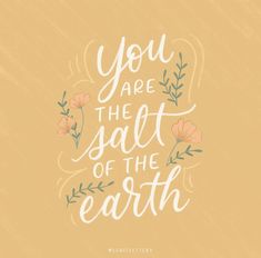 the words you are the salt of the earth written in white on an orange background