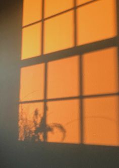 the shadow of a bicycle is cast on an orange wall by a vase with flowers