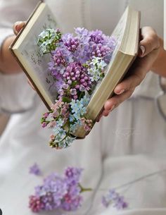 a person holding a book with flowers in it and the caption reads, explore