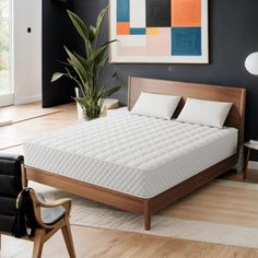 a bed in a room with black walls and wooden flooring next to a plant