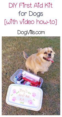 a dog sitting in the grass with its mouth open next to an empty plastic container